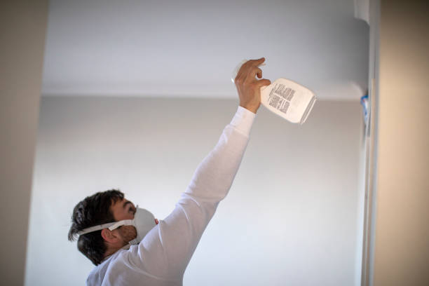 Best Toxic Mold Removal  in Carter Lake, IA