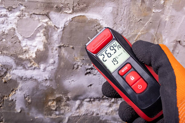Best Crawl Space Mold Removal  in Carter Lake, IA