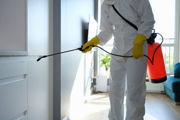 Best Mold Cleaning Services  in Carter Lake, IA