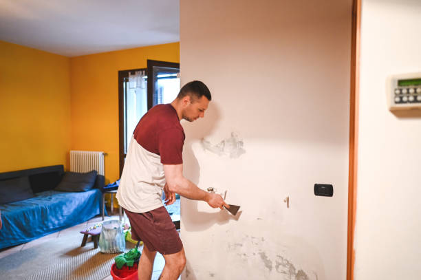 Best Water Damage Restoration  in Carter Lake, IA